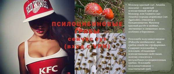 дмт Козловка